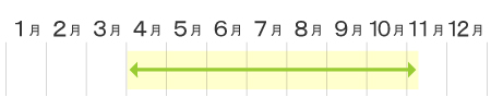 ほうれんそう収穫カレンダー