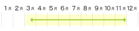 いちご収穫カレンダー