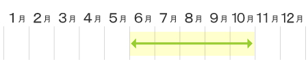 きゅうり収穫カレンダー